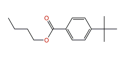 Butyl 4-tert-butylbenzoate